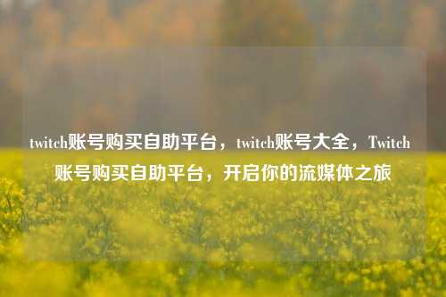 twitch账号购买自助平台，twitch账号大全，Twitch 账号购买自助平台，开启你的流媒体之旅