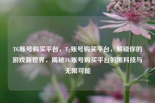 TG账号购买平台，Tg账号购买平台，解锁你的游戏新世界，揭秘TG账号购买平台的黑科技与无限可能