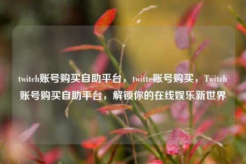 twitch账号购买自助平台，twitte账号购买，Twitch账号购买自助平台	，解锁你的在线娱乐新世界  第1张