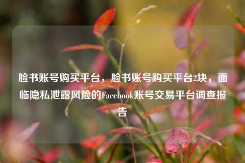 脸书账号购买平台，脸书账号购买平台2块，面临隐私泄露风险的Facebook账号交易平台调查报告