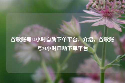 谷歌账号24小时自助下单平台，介绍，谷歌账号24小时自助下单平台