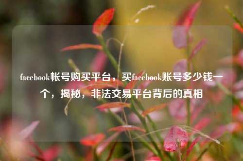 facebook帐号购买平台，买facebook账号多少钱一个，揭秘，非法交易平台背后的真相