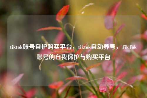 tiktok账号自护购买平台，tiktok自动养号，TikTok账号的自我保护与购买平台