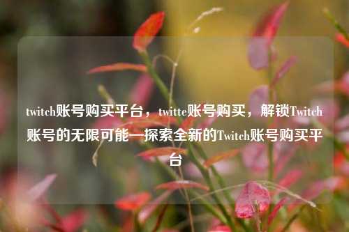 twitch账号购买平台，twitte账号购买，解锁Twitch账号的无限可能—探索全新的Twitch账号购买平台
