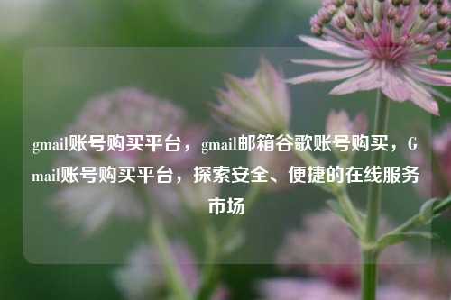 gmail账号购买平台，gmail邮箱谷歌账号购买，Gmail账号购买平台，探索安全、便捷的在线服务市场