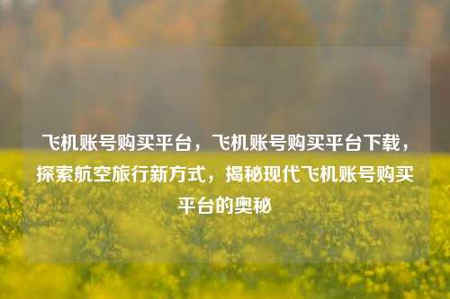 飞机账号购买平台，飞机账号购买平台下载，探索航空旅行新方式，揭秘现代飞机账号购买平台的奥秘
