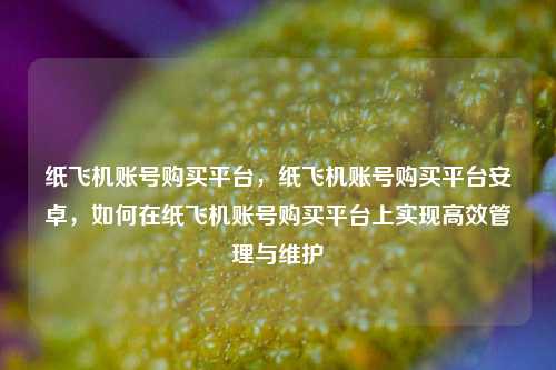 纸飞机账号购买平台，纸飞机账号购买平台安卓，如何在纸飞机账号购买平台上实现高效管理与维护