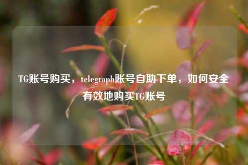 TG账号购买，telegraph账号自助下单，如何安全有效地购买TG账号