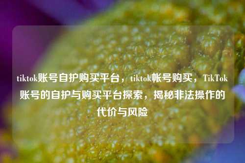 tiktok账号自护购买平台，tiktok帐号购买，TikTok账号的自护与购买平台探索，揭秘非法操作的代价与风险