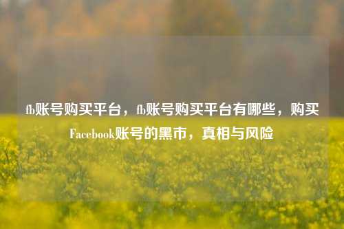 fb账号购买平台，fb账号购买平台有哪些，购买Facebook账号的黑市，真相与风险