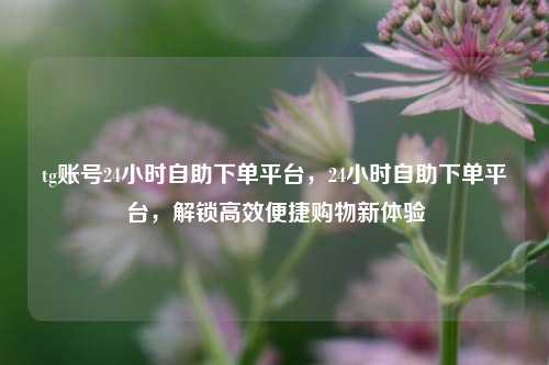 tg账号24小时自助下单平台，24小时自助下单平台，解锁高效便捷购物新体验