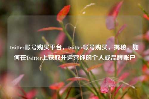 twitter账号购买平台，twitter帐号购买，揭秘，如何在Twitter上获取并运营你的个人或品牌账户