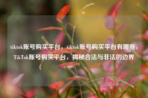 tiktok账号购买平台，tiktok账号购买平台有哪些，TikTok账号购买平台，揭秘合法与非法的边界