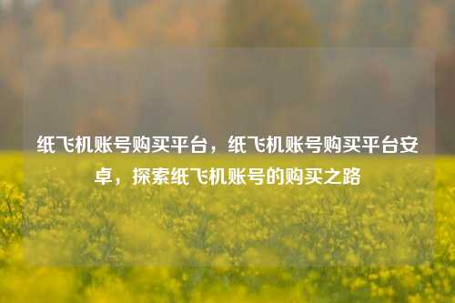 纸飞机账号购买平台，纸飞机账号购买平台安卓，探索纸飞机账号的购买之路