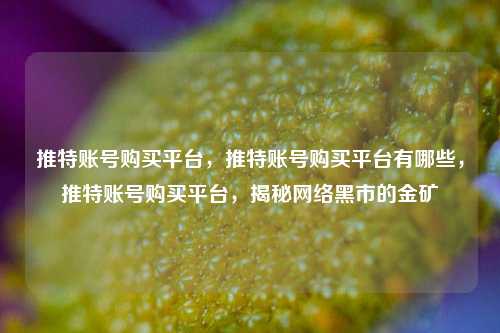 推特账号购买平台，推特账号购买平台有哪些，推特账号购买平台，揭秘网络黑市的金矿