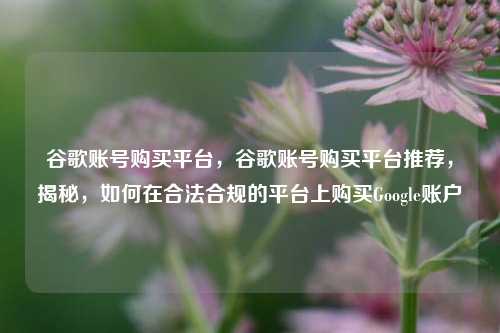 谷歌账号购买平台，谷歌账号购买平台推荐，揭秘，如何在合法合规的平台上购买Google账户