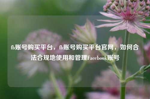 fb账号购买平台，fb账号购买平台官网，如何合法合规地使用和管理Facebook账号