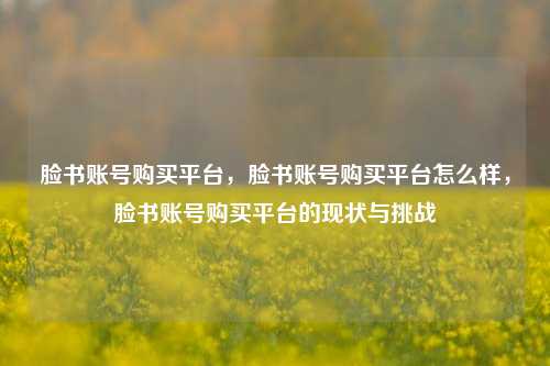 脸书账号购买平台，脸书账号购买平台怎么样，脸书账号购买平台的现状与挑战
