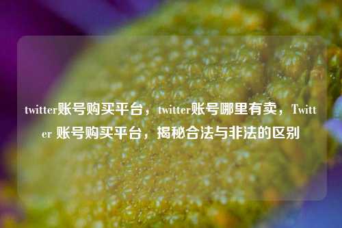 twitter账号购买平台，twitter账号哪里有卖，Twitter 账号购买平台，揭秘合法与非法的区别