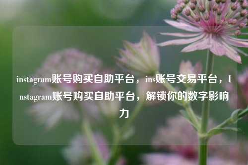 instagram账号购买自助平台，ins账号交易平台，Instagram账号购买自助平台，解锁你的数字影响力