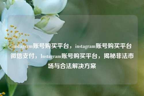 instagram账号购买平台，instagram账号购买平台微信支付，Instagram账号购买平台，揭秘非法市场与合法解决方案