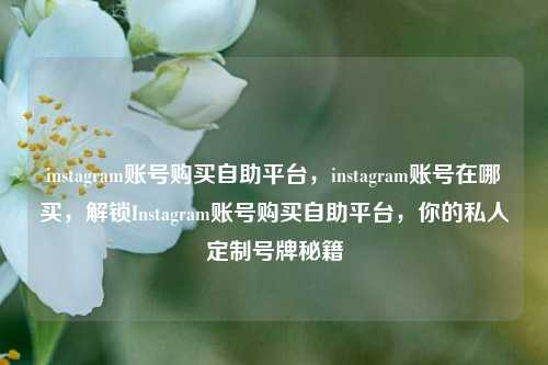 instagram账号购买自助平台，instagram账号在哪买，解锁Instagram账号购买自助平台，你的私人定制号牌秘籍