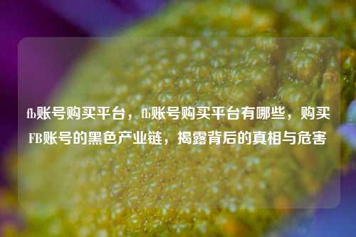 fb账号购买平台，fb账号购买平台有哪些，购买FB账号的黑色产业链，揭露背后的真相与危害