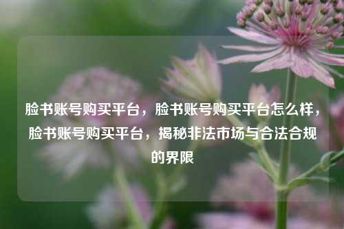 脸书账号购买平台，脸书账号购买平台怎么样，脸书账号购买平台，揭秘非法市场与合法合规的界限