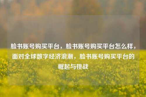 脸书账号购买平台，脸书账号购买平台怎么样，面对全球数字经济浪潮，脸书账号购买平台的崛起与挑战