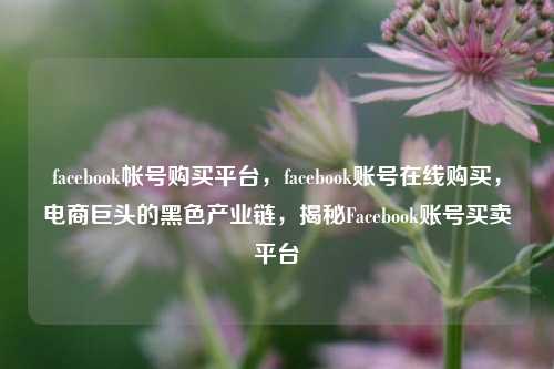 facebook帐号购买平台，facebook账号在线购买，电商巨头的黑色产业链，揭秘Facebook账号买卖平台