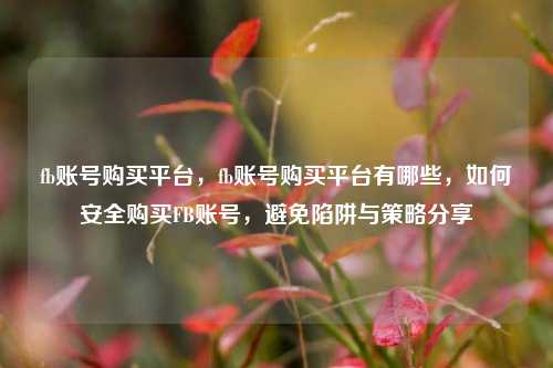 fb账号购买平台，fb账号购买平台有哪些，如何安全购买FB账号，避免陷阱与策略分享