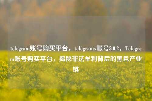 telegram账号购买平台，telegramx账号5.0.2，Telegram账号购买平台，揭秘非法牟利背后的黑色产业链