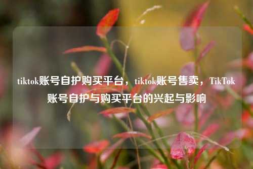 tiktok账号自护购买平台，tiktok账号售卖，TikTok账号自护与购买平台的兴起与影响