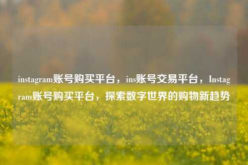 instagram账号购买平台，ins账号交易平台，Instagram账号购买平台，探索数字世界的购物新趋势