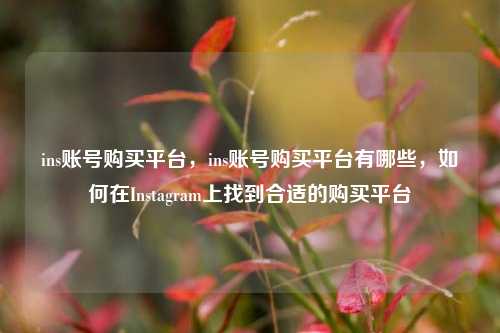 ins账号购买平台，ins账号购买平台有哪些，如何在Instagram上找到合适的购买平台