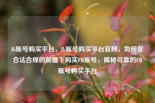 fb账号购买平台，fb账号购买平台官网，如何在合法合规的前提下购买FB账号，揭秘可靠的FB账号购买平台