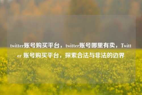 twitter账号购买平台，twitter账号哪里有卖，Twitter 账号购买平台，探索合法与非法的边界