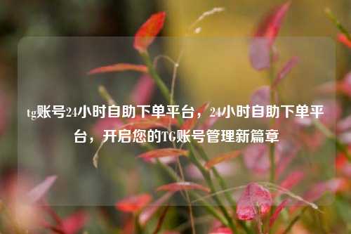 tg账号24小时自助下单平台，24小时自助下单平台，开启您的TG账号管理新篇章