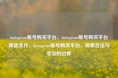 instagram账号购买平台，instagram账号购买平台微信支付，Instagram账号购买平台，探索合法与非法的边界