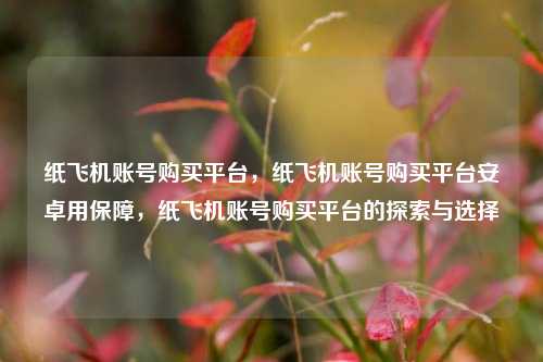 纸飞机账号购买平台，纸飞机账号购买平台安卓用保障，纸飞机账号购买平台的探索与选择