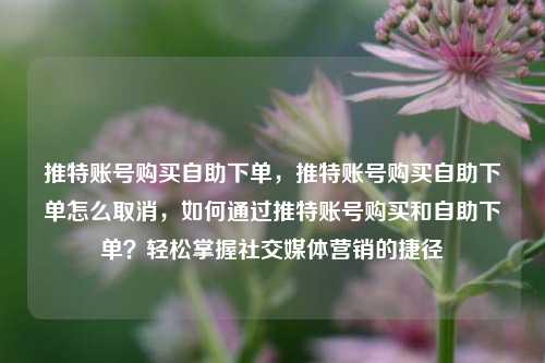 推特账号购买自助下单，推特账号购买自助下单怎么取消	，如何通过推特账号购买和自助下单？轻松掌握社交媒体营销的捷径  第1张