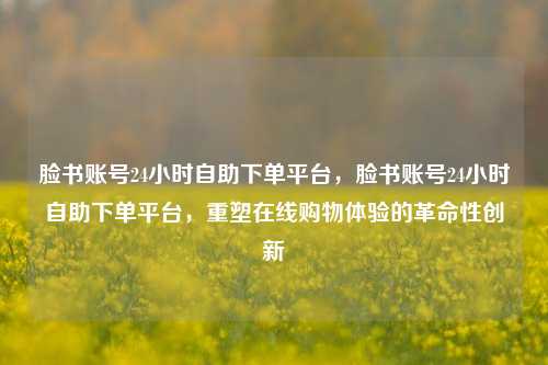 脸书账号24小时自助下单平台，脸书账号24小时自助下单平台，重塑在线购物体验的革命性创新  第1张