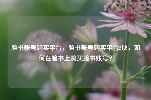 脸书账号购买平台，脸书账号购买平台2块，如何在脸书上购买脸书账号？