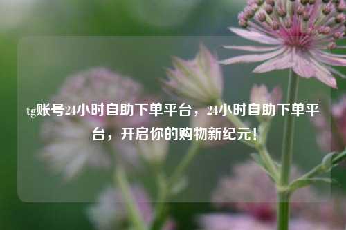 tg账号24小时自助下单平台，24小时自助下单平台，开启你的购物新纪元！