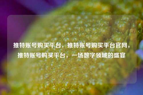 推特账号购买平台，推特账号购买平台官网，推特账号购买平台，一场数字领域的盛宴