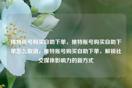 推特账号购买自助下单，推特账号购买自助下单怎么取消，推特账号购买自助下单，解锁社交媒体影响力的新方式