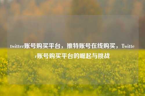 twitter账号购买平台，推特账号在线购买，Twitter账号购买平台的崛起与挑战