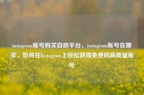 instagram账号购买自助平台，instagram账号在哪买，如何在Instagram上轻松获得免费的高质量账号
