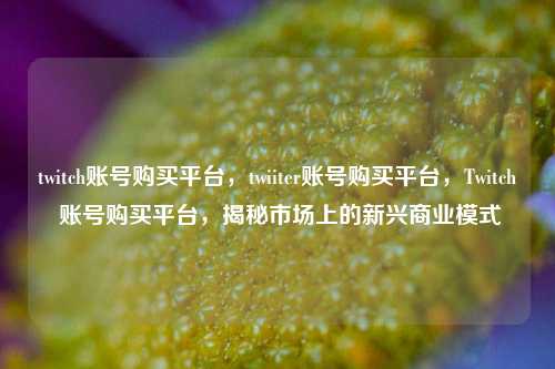 twitch账号购买平台，twiiter账号购买平台，Twitch 账号购买平台，揭秘市场上的新兴商业模式