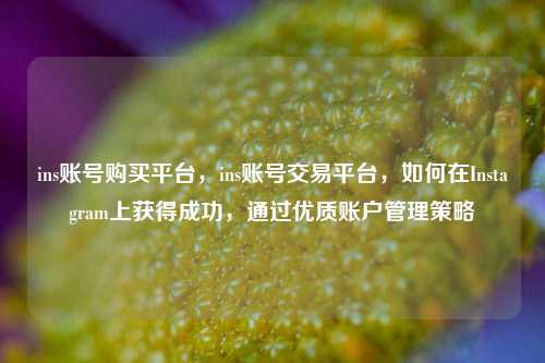 ins账号购买平台，ins账号交易平台，如何在Instagram上获得成功，通过优质账户管理策略
